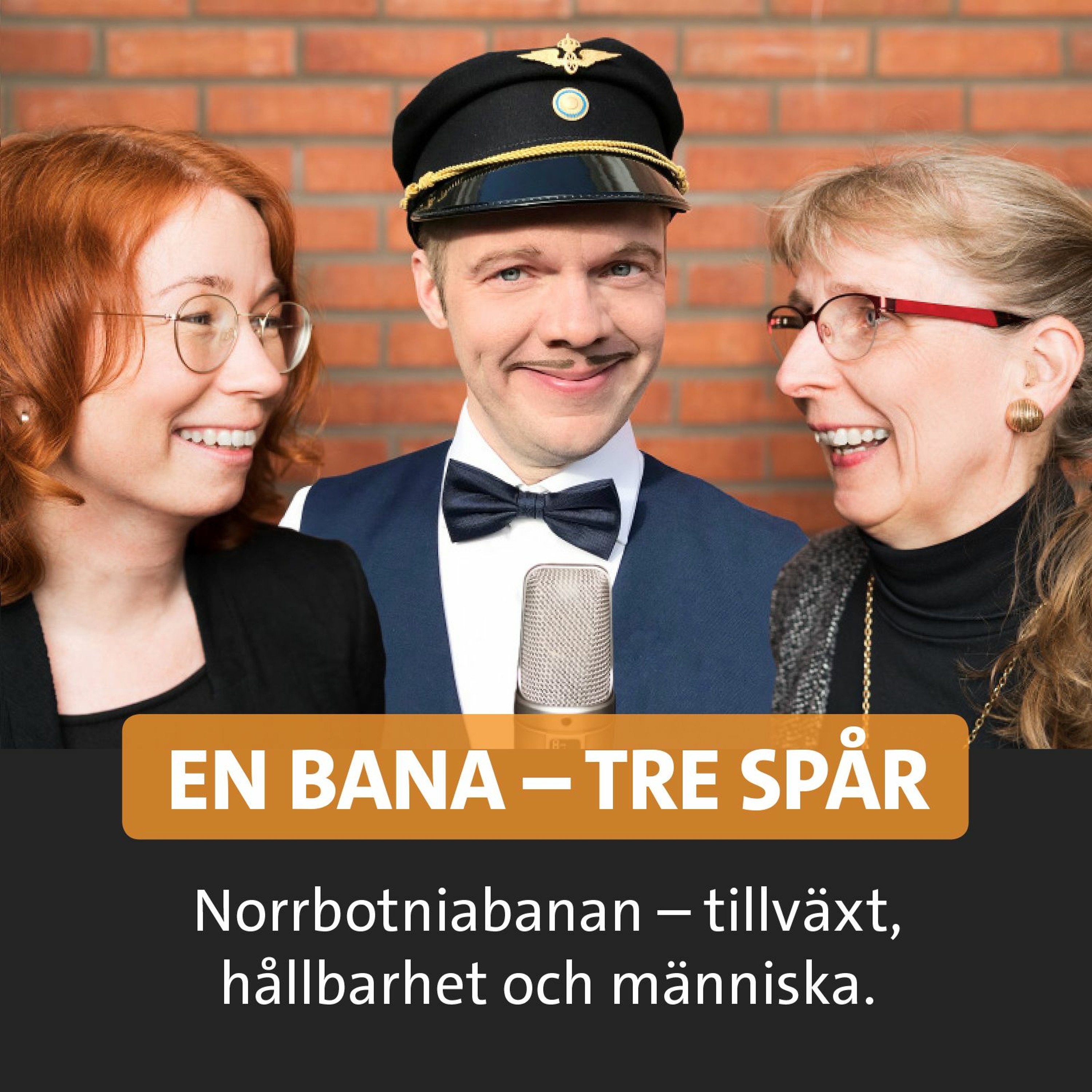 Norrbotniabanan