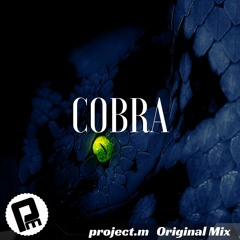 Project.m - Cobra ( Original Mix )[Sick Bedroom Records]