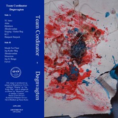 Team Cordinator - Døgnvagten