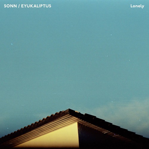 lonely w/ eyukaliptus