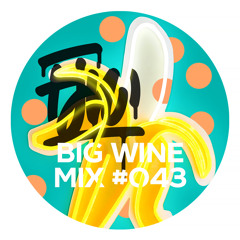 FJN - Big Wine Mix 043 (Tracklist!)