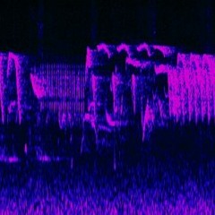 International Dawn Chorus with Duncan Chapman