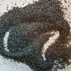 fresh poppy seeds