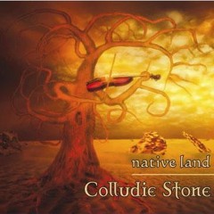 Paddy´s Lamentation