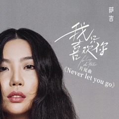 Never Let You Go / 我只喜歡你 (Anh Chỉ Thích Em OST)