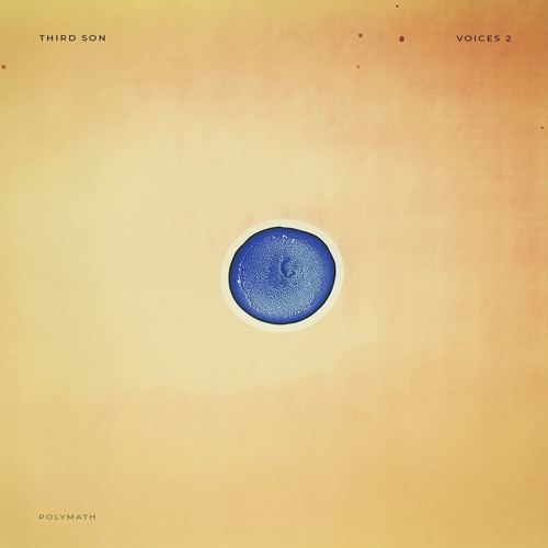 Premiere: Third Son - The Need For Repetition [Polymath]