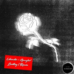 Liberato - Guagliò Iuri Di Principe Bootleg