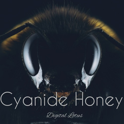 Cyanide Honey