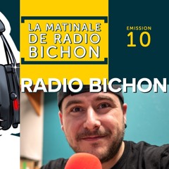 Choisir un pistolet à peinture avec Wagner - Radiobichon