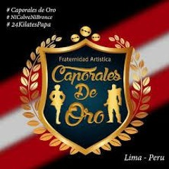 CAPORALES DE ORO FINAL TUNDIQUE 2018