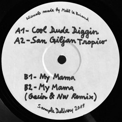 PREMIERE : DJ Suzmo - Cool Dude Diggin