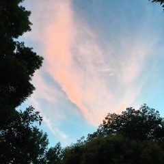 Over The Fence