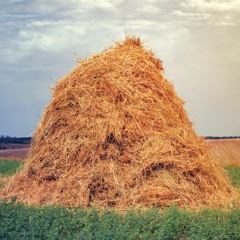 haystack (prod. shoelacebelt)