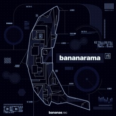 02 - Mat Moebius - Mammouth (Bananas Records 2019)