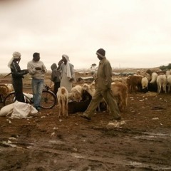 Innere Sicherheit - radioeins, 26.07.2017_Sendemitschnitt