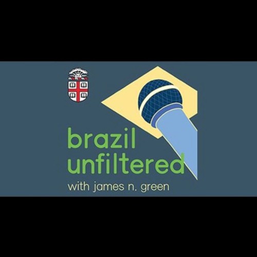 The Economics, Ecology, and Politics of Brazil's Rainforests