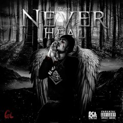 Wake Picasso - Never Heal | prod. By @yung_tago