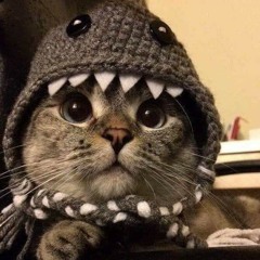 doli x kvxzka x obi - nie chce 2