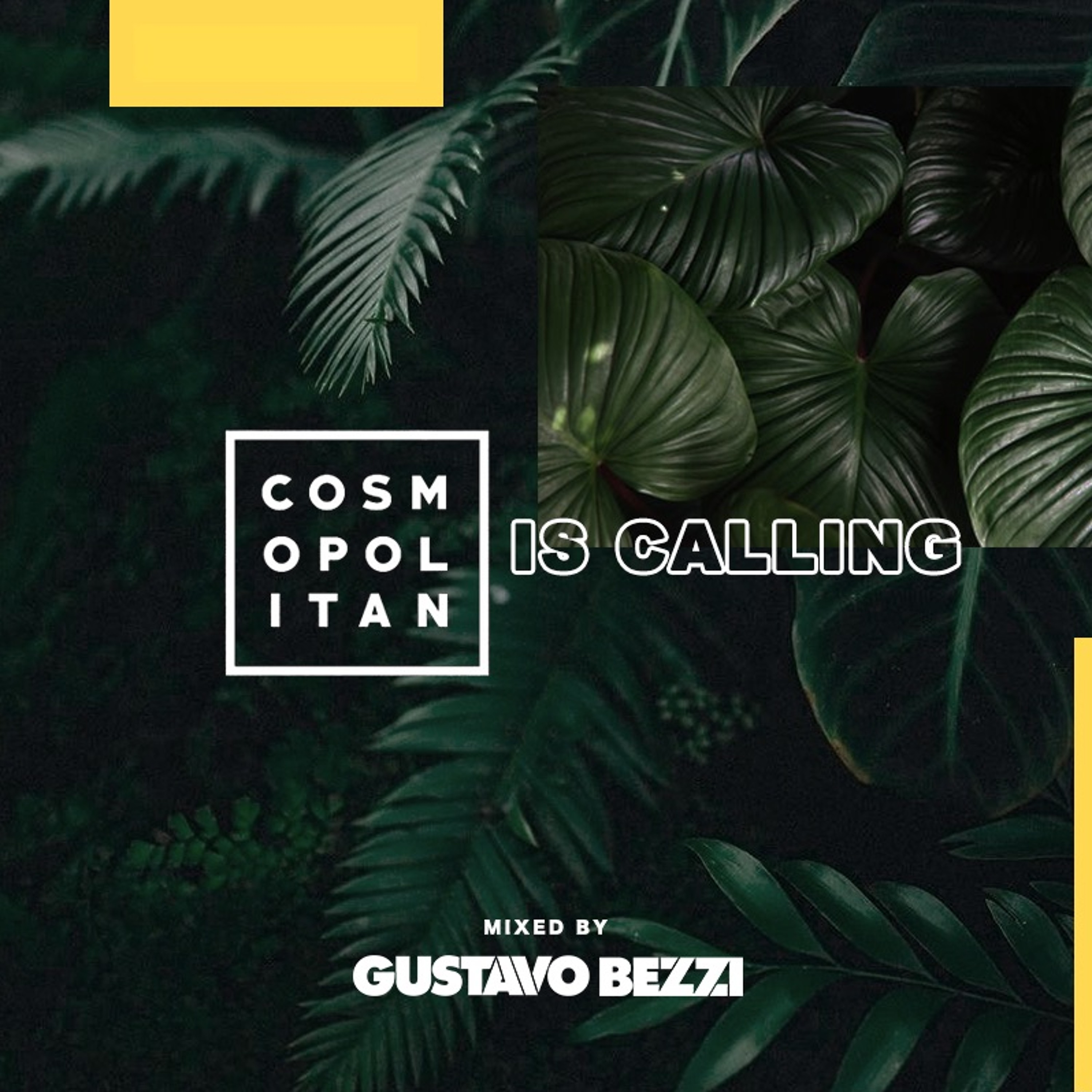 Gustavo Bezzi