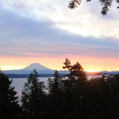 Tallest Tree EG ST.MP3