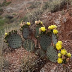 Beyond the Grotto.demo 1