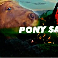 PONNY SALVAJE RMX REGGAETON - ANDRES PINGUIL DJ MIX