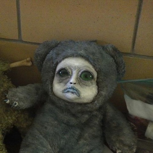 Teddy