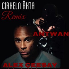 Ant Wan - Cirkeln äkta (Remix) feat Alex Ceesay