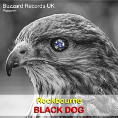 Rockbourne  -  Black Dog