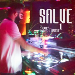 Salve @Floor&Fauna (BelliniClub Mainz) 13.4.19 /ClosingSet