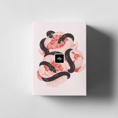 REPKO - SCARLETT LOOP KIT PREVIEW