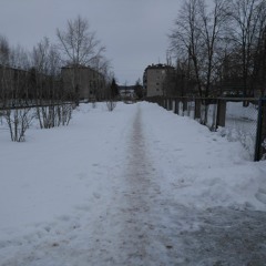 лишь до утра