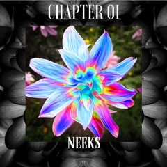 Chapter 01