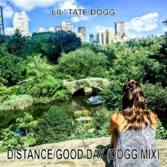 Distance (Good Day) (Dogg Mix)