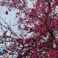 Kasbo - Lay It On Me (ft. Keiynan Lonsdale) (DirtyTree Bootleg Remix)