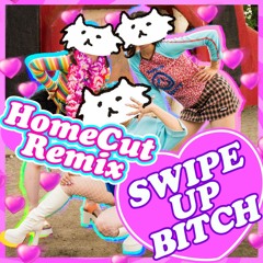 SWIPE UP BITCH (HomeCut REMIX ) / valknee