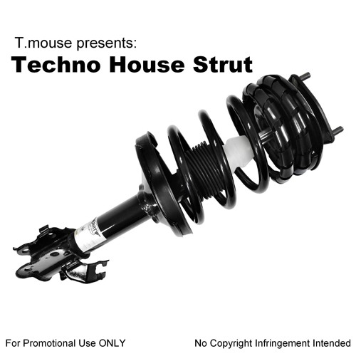 Techno House Strut