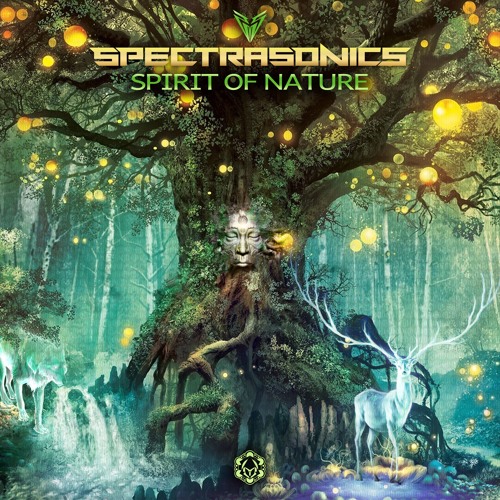 Spectra Sonics - Something In The Woods : OUT NOW on Maharetta Records