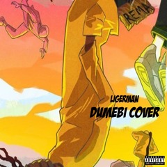 Ligerman- Dumebi Cover