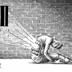 zandoni زندوني مكس