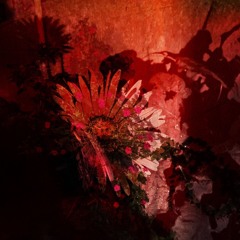 ヴェスパとミネストローネ