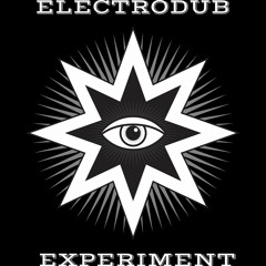 Electrodub Experiment- The Golden Chalice (demo)