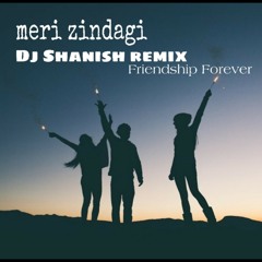 Meri Zindagi Reggae 2k19_DJShanish (Nish Production).mp3