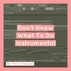 Don't Know What To Do Instrumental | FLP