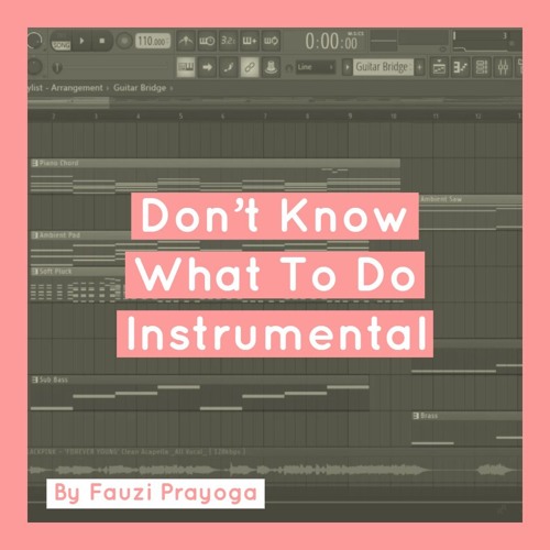 Don't Know What To Do Instrumental | FLP