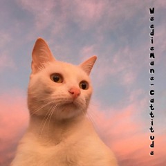 Weedie Mane - Cattitude.