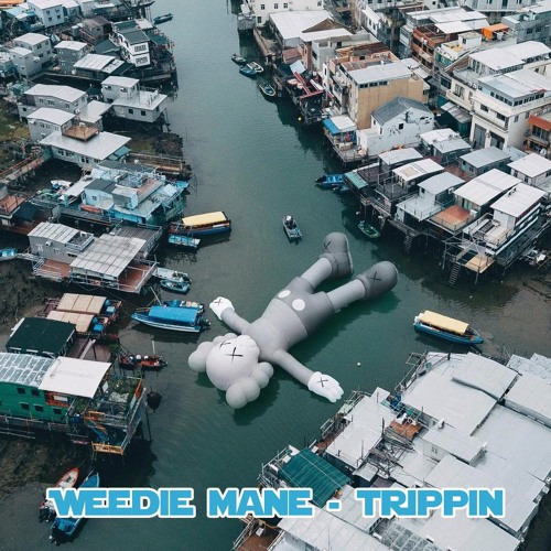 Weedie Mane - Trippin.