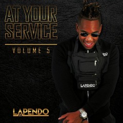 AT YOUR SERVICE VOL. 5