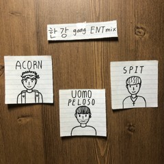 한강 gang ENTmix