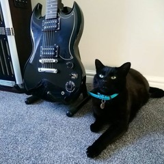 Shoegaze, dreampop & psych playlist #220*